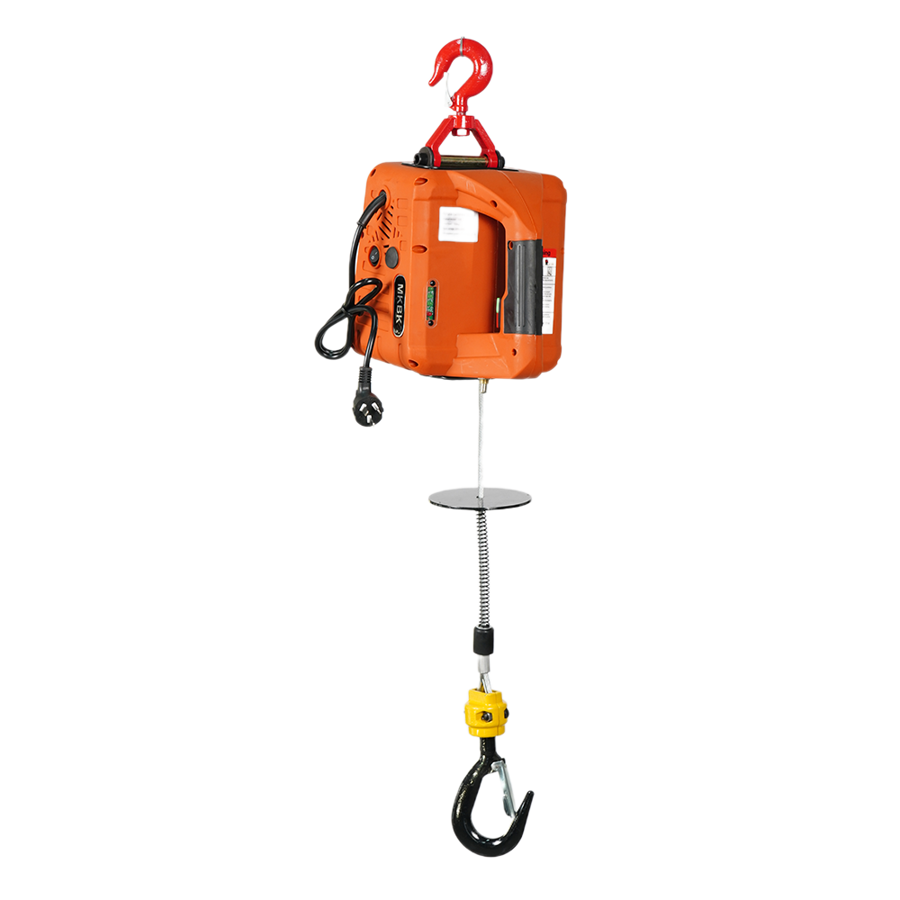 Portable electric hoist